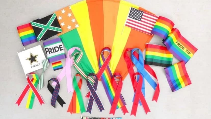 Vad är queer och vad betyder det